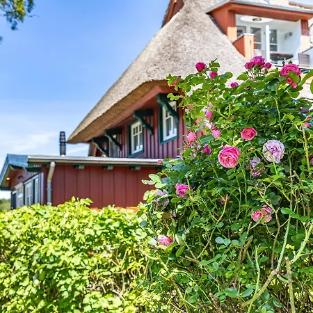 بيت للعطل Haus Am Prerowstrom